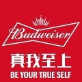 客户Logo