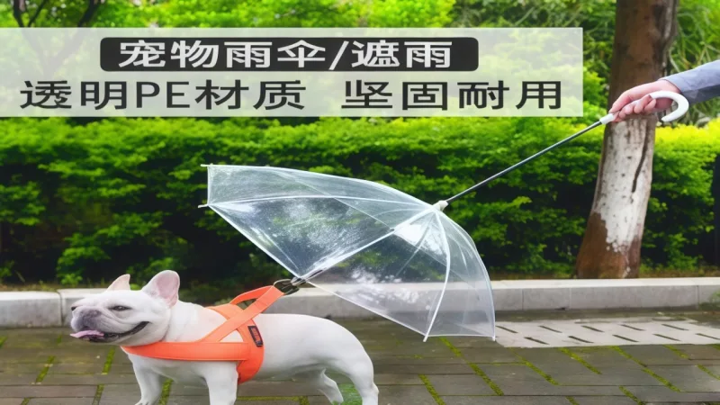 宠物主人必备：下雨天怎么带狗狗出门？专业雨具解决方案让遛狗更安心