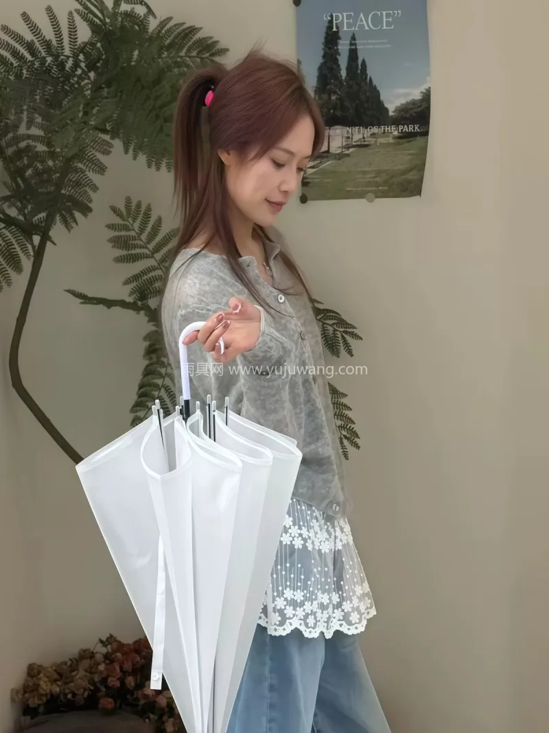 高透 POE 环保材质 · 8 骨玻纤伞 武汉雨具供应链服务商直供透明长柄雨伞，韩 - 详情图