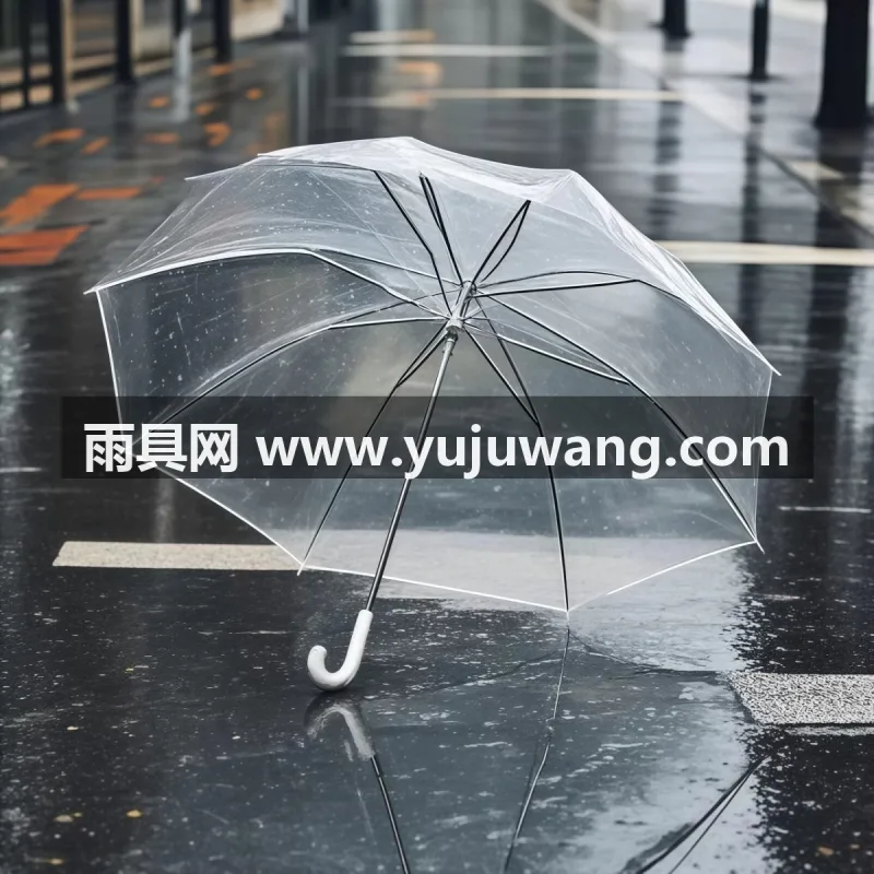 高透 POE 环保材质 · 8 骨玻纤伞骨 · 铁制烤漆中棒 武汉雨具供应链服务商直供透明长柄雨伞，韩系 ins