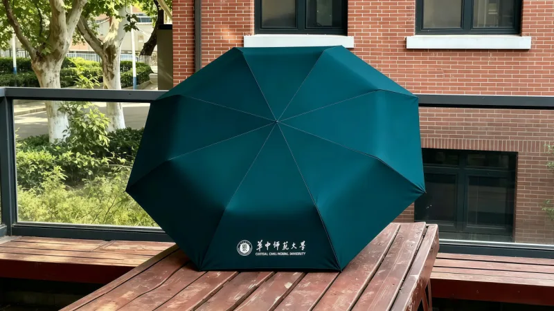 华中师范大学全场景雨具定制与文创伞开发项目 项目图片2