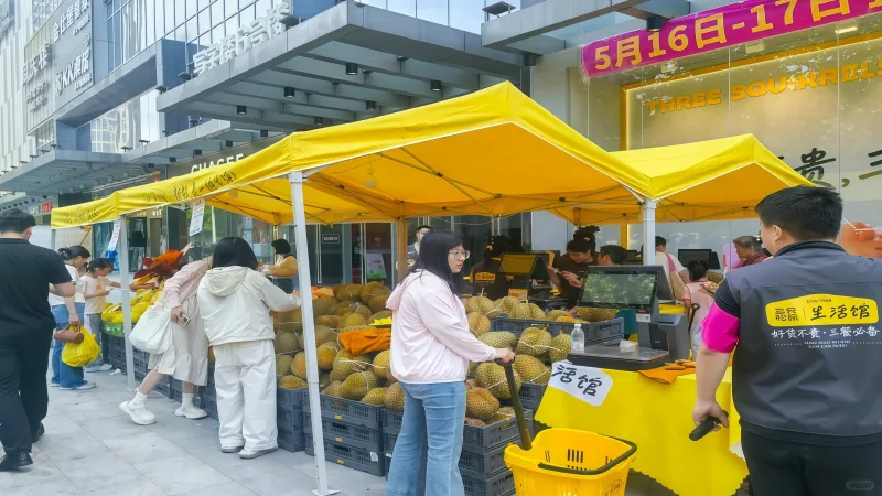 三只松鼠武汉区域全渠道营销广告伞与广告帐篷定制案例 项目图片2