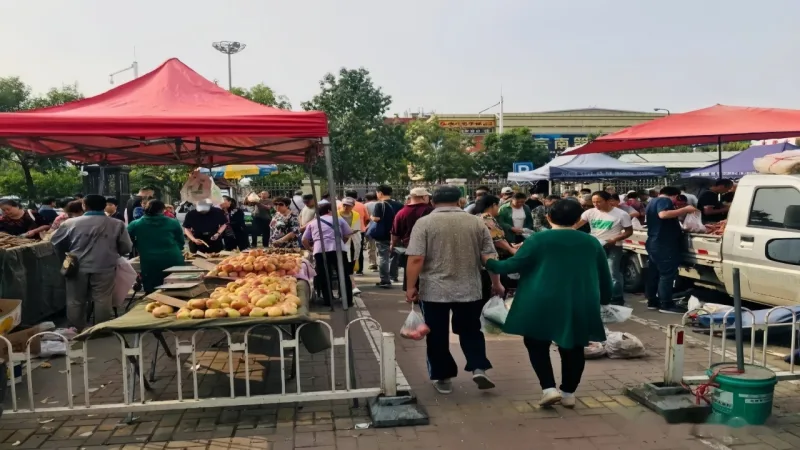 农贸市场防雨设施升级 定制遮阳帐篷规范形象稳经营