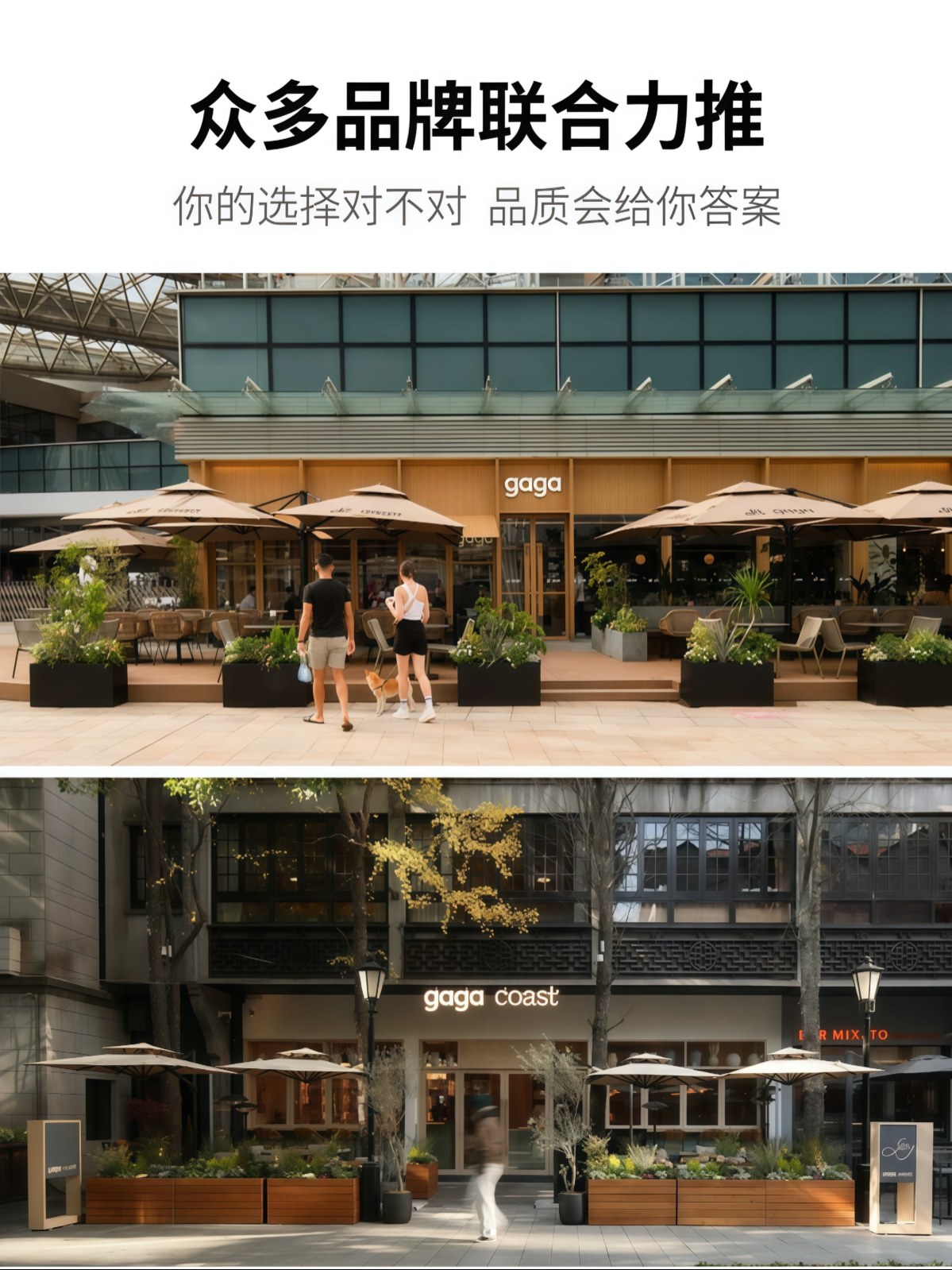 紫叶户外遮阳伞别墅罗马伞户外伞花园太阳伞庭院伞室外露台遮阳棚 - 详情图