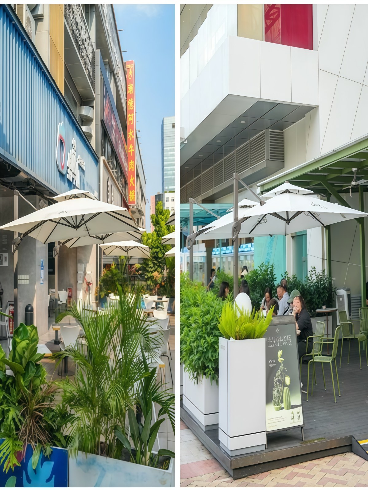 紫叶户外遮阳伞别墅罗马伞户外伞花园太阳伞庭院伞室外露台遮阳棚 - 详情图