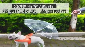 武汉雨具网行业新闻资讯