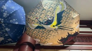 武汉雨具网行业新闻资讯