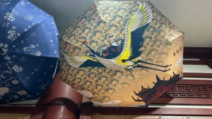 95 后雨具设计师：我把武汉的樱花、长江和黄鹤楼，都画在了伞面上