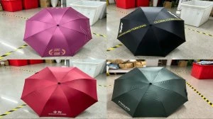 武汉雨具网行业新闻资讯
