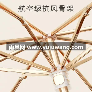钛银图层 · 航空级抗风伞骨 · 铝合金 武汉大型雨具源头供应链供货渐变防晒伞，专 图3