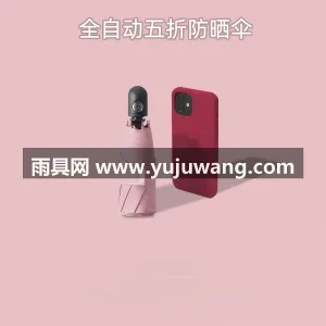 铝合金+碰击布 · 荷氏防水 本款五折全自动晴雨伞由武汉雨具供应链服务 图2