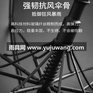 碰击布+纳米超疏 · 荷氏防水 本款双层自动长柄雨伞由武汉雨具供应链服务 图4