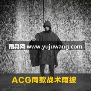 上学专用儿童雨衣男童女孩小学生雨披带书包位防暴雨宝宝新款