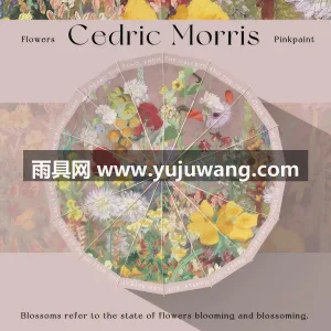 高密度210T碰击布 · 加厚黑胶防晒涂层UPF5 太阳伞晴雨两用女雨伞加大加厚加固防晒防紫外线折叠双