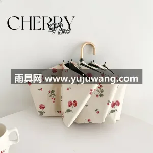 高密防水聚酯纤维碰击布 · 8 骨加固玻 武汉专业雨具生产供应链供货复古弯钩晴雨伞 图3