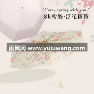 彩胶防晒 · 紫外线阻隔 · 防晒防雨  武汉本地雨伞供应链服务直供双层晴雨两用太 图5