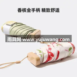 靓丽彩胶涂层 · 高强度合金骨架 · 防 武汉本地雨伞供应链服务直供超轻胶囊雨伞， 图4