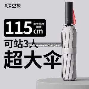 全自动雨伞男士加大加厚加固双人男生大号暴雨专用女折叠遮阳