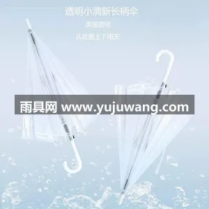 高透 POE 环保材质 · 8 骨玻纤伞 武汉雨具供应链服务商直供透明长柄雨伞，韩 图3