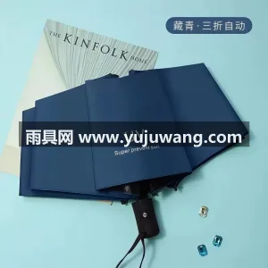 黑胶图层 · 防紫外线 · 仿生拒水 · 武汉雨具供应链服务商直供全自动晴雨两用伞 图3