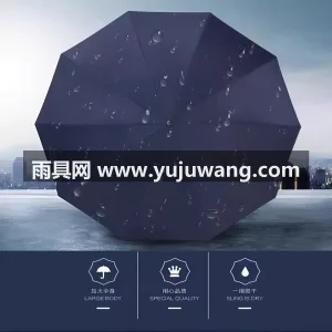 钢制伞骨 · 精钢烤漆伞杆 · 黑胶伞布 武汉源头雨伞供应链服务直供自动折叠晴雨两 图5