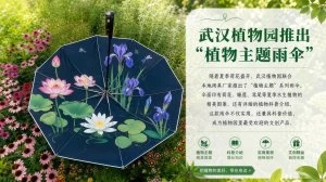 武汉雨具网行业新闻资讯