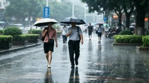 武汉雨具网行业新闻资讯
