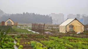 农业采摘园专用防蚊虫休息帐篷：打造舒适田园休闲新体验