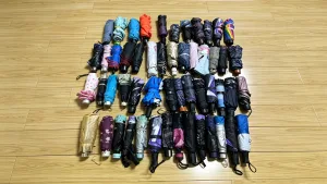 雨伞收藏成新爱好：有人收藏上千把 小众文化悄然兴起