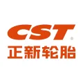 正新轮胎案例标识
