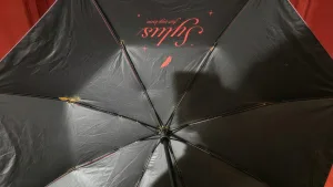 雨伞五金件保养全攻略 伞骨生锈、按钮失灵在家就能修